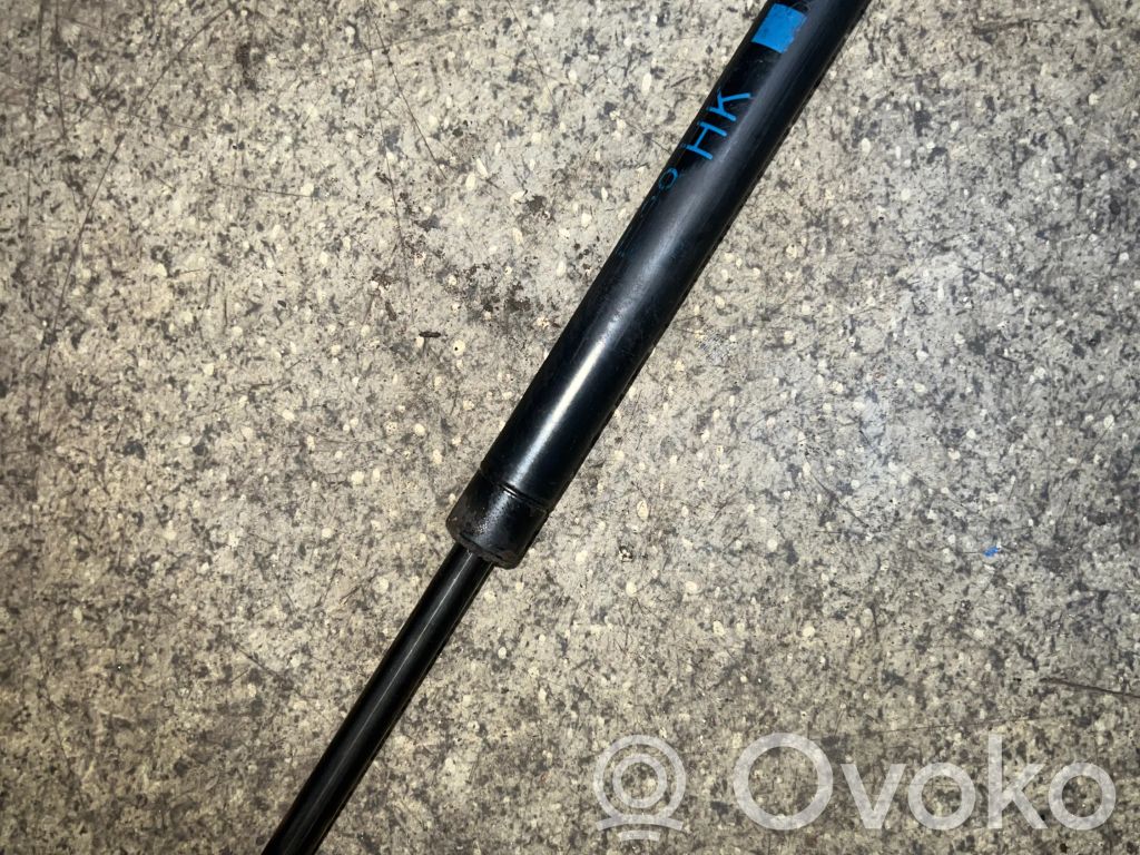 Tailgate/trunk strut/damper   8172845