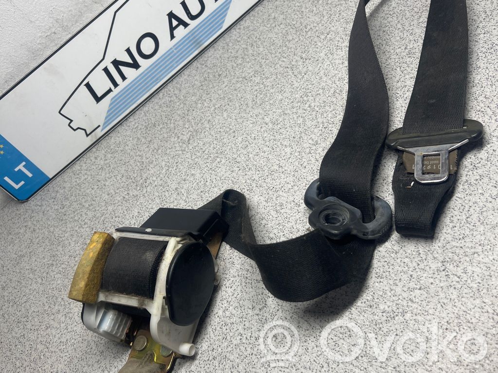 Cinturón delantero   8208443