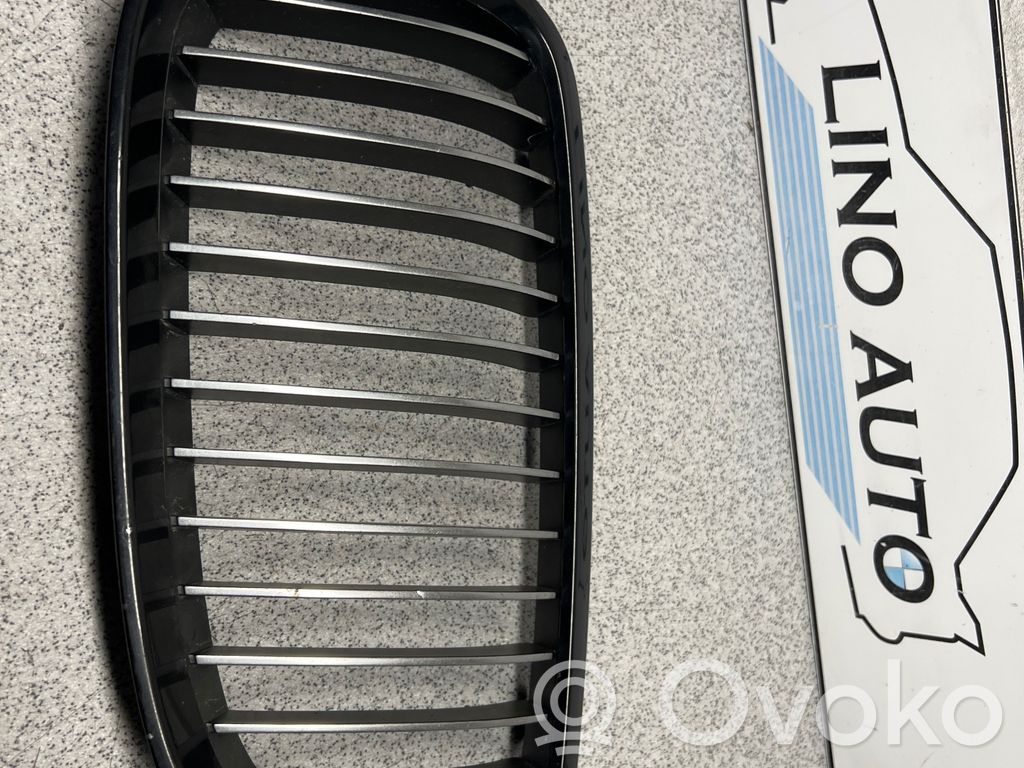 Front grill   51137157277