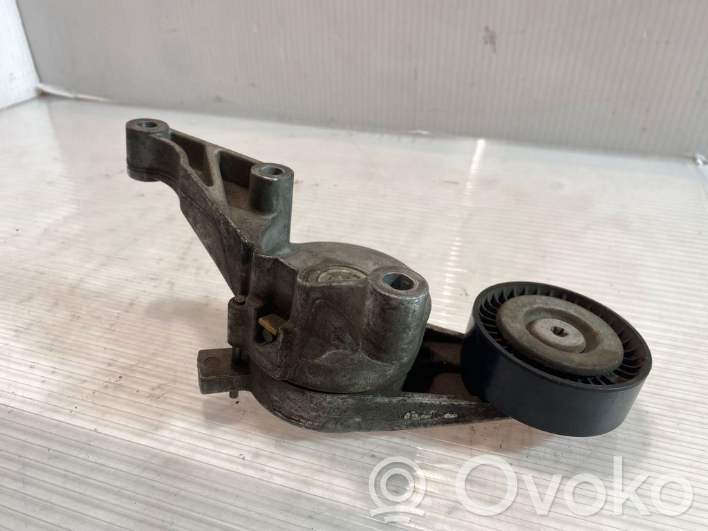 Skoda Octavia Mk2 (1Z) Napinacz paska alternatora 