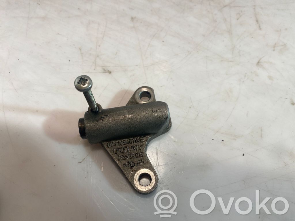 Audi A4 S4 B7 8E 8H Napinacz paska / łańcucha rozrządu 