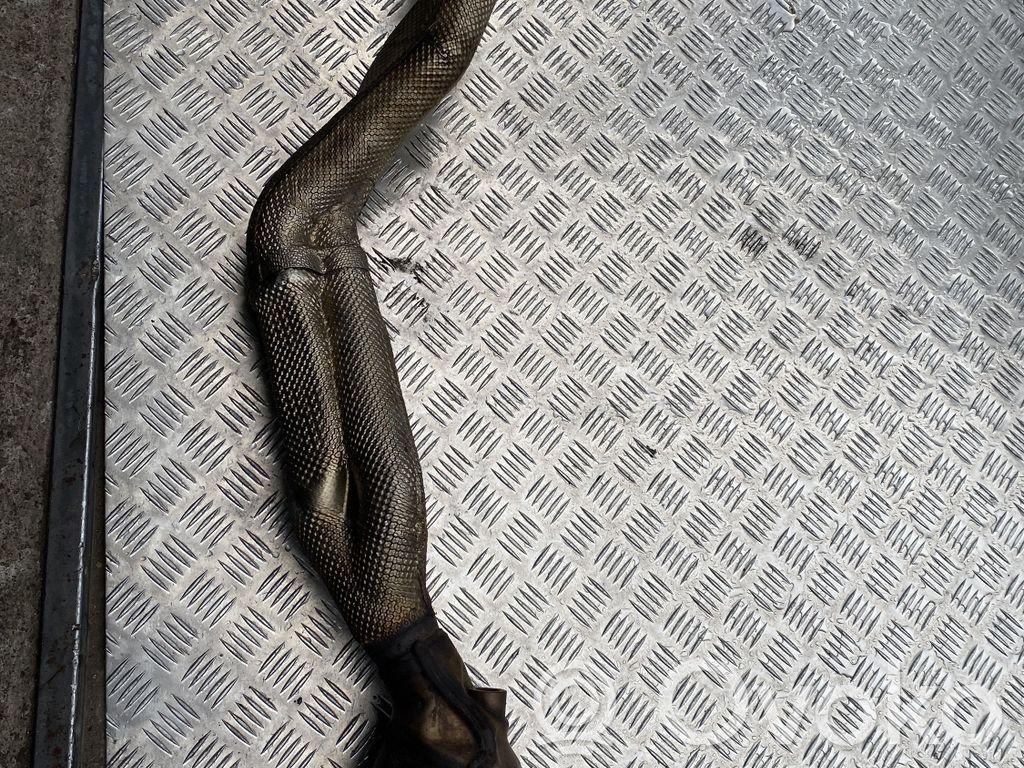 Audi A8 S8 D3 4E Filtro antiparticolato catalizzatore/FAP/DPF 