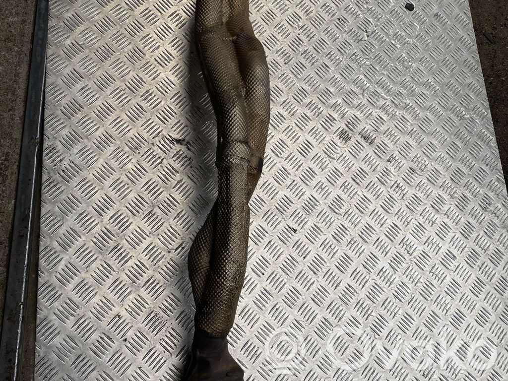 Audi A8 S8 D3 4E Filtru de particule catalizator/FAP/DPF 