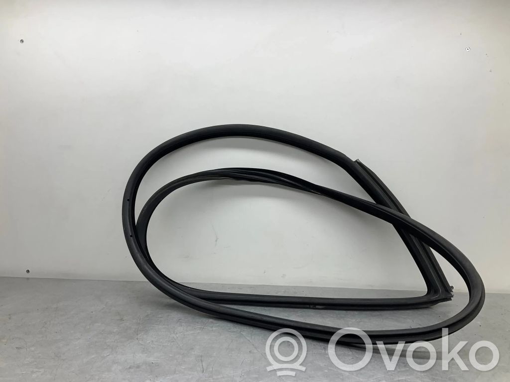 BMW 3 E92 E93 Front door rubber seal 