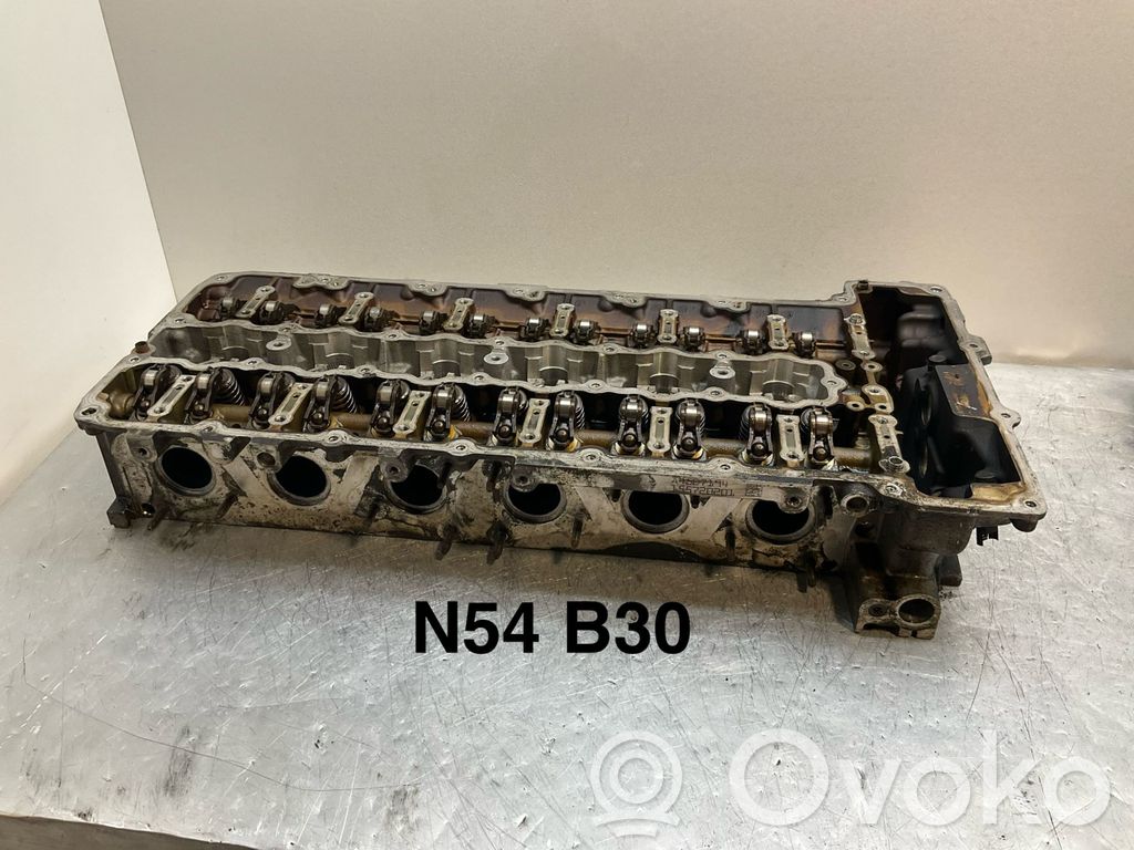 Galvutė   7560180