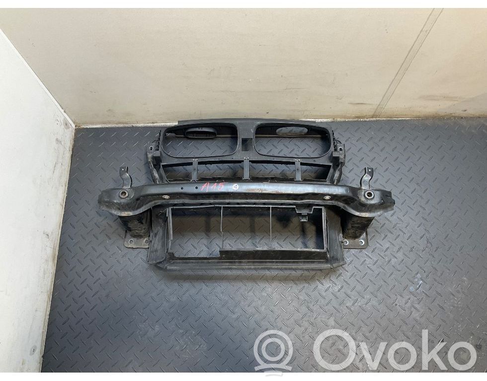 BMW X5 E70 Radiatoriaus oro nukreipėjas (-ai) 