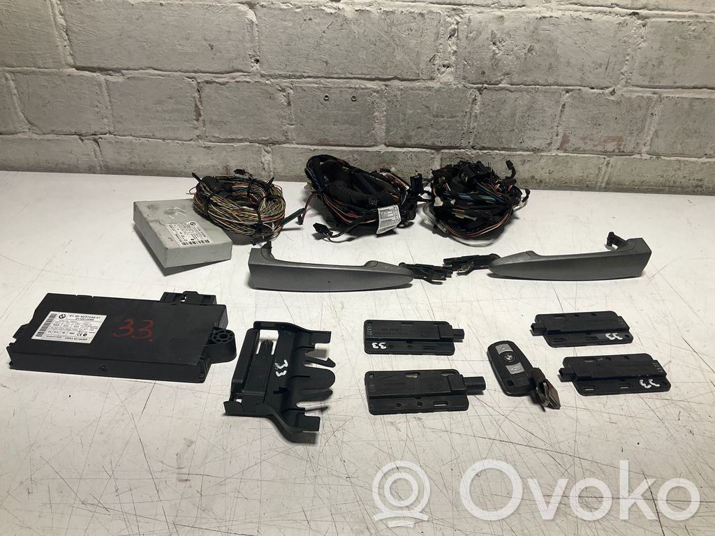 Module de contrôle sans clé Go   9134708,9237046