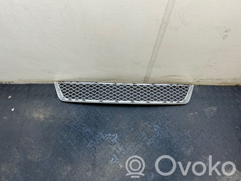 BMW X5 E70 Front bumper lower grill 
