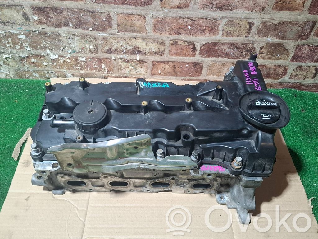 Engine head   55596882