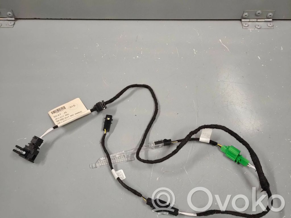 Seat Tarraco Wiązka przewodów drzwi przednich 