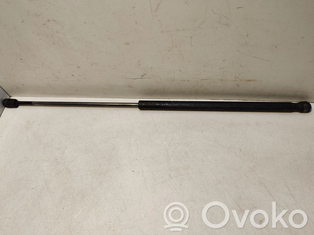 Ford Focus Amortiguador/puntal del maletero/compartimento de carga 