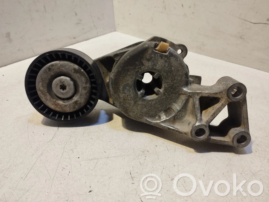 Volkswagen Bora Napinacz paska alternatora 