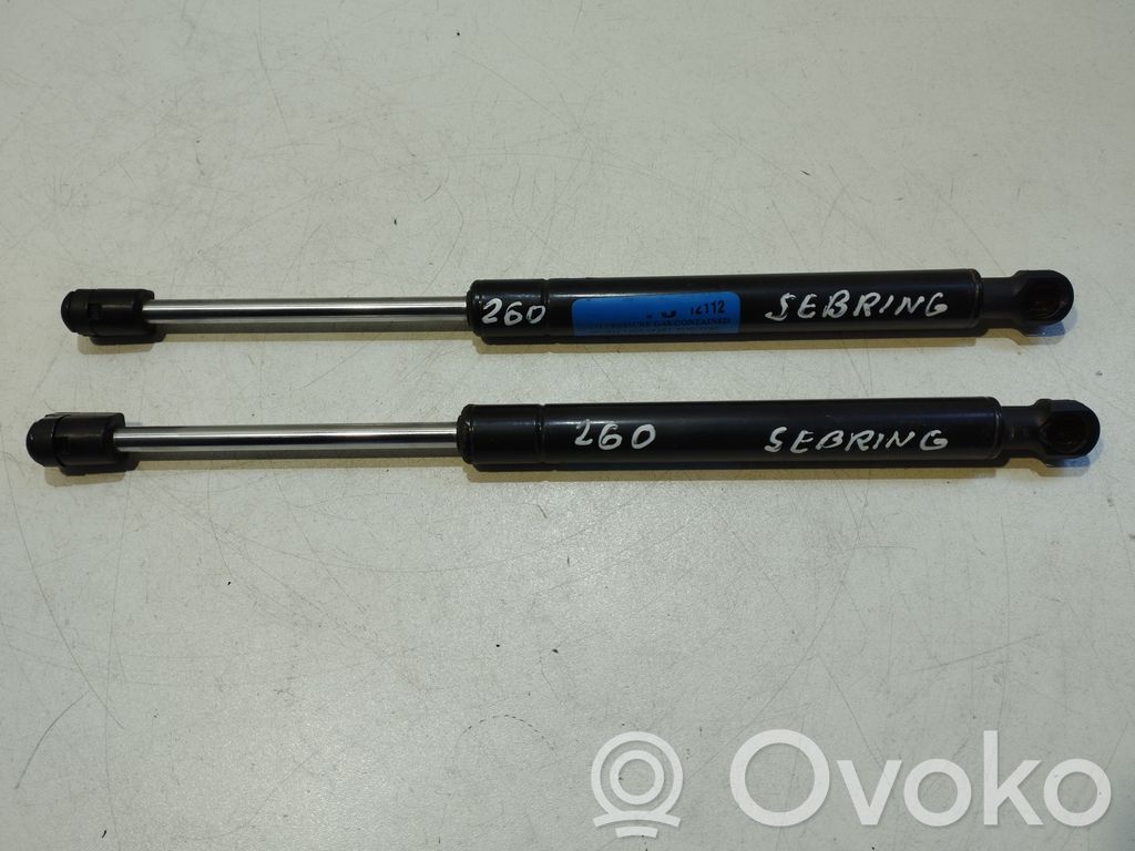 Tailgate/trunk strut/damper   46170,4617012112