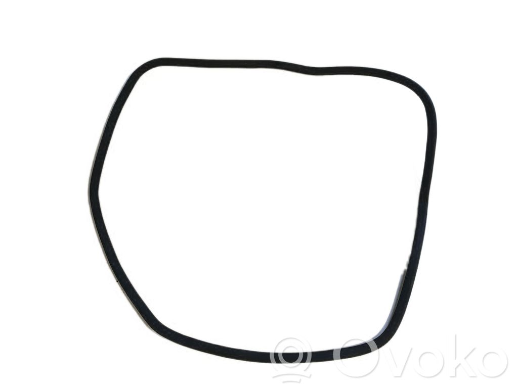 Audi A4 S4 B6 8E 8H Gumowa uszczelka drzwi przednich 