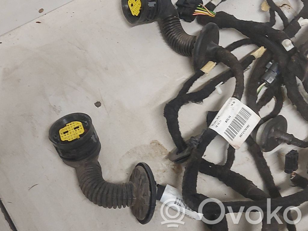 Cableado de puerta delantera   9672176180,9672952680