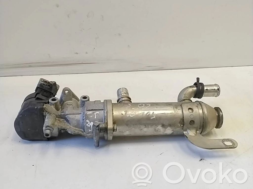 Citroen C5 Refrigerador de la válvula EGR 