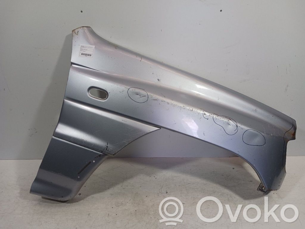 Mitsubishi Pajero Fender 