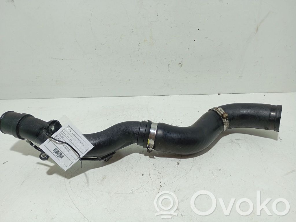 Intercooler hose/pipe   1734333010,1734333010,1736233010