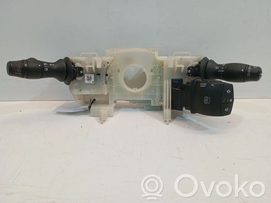 Other switches/knobs/shifts   255670036R