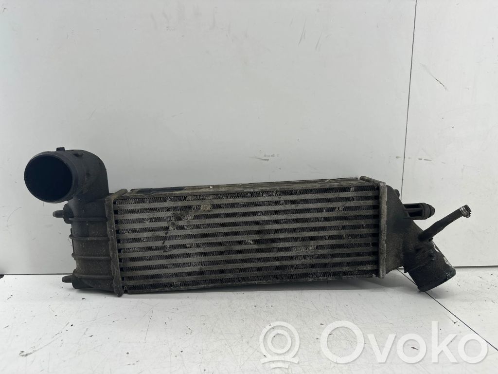 Peugeot 807 Intercooler radiator 