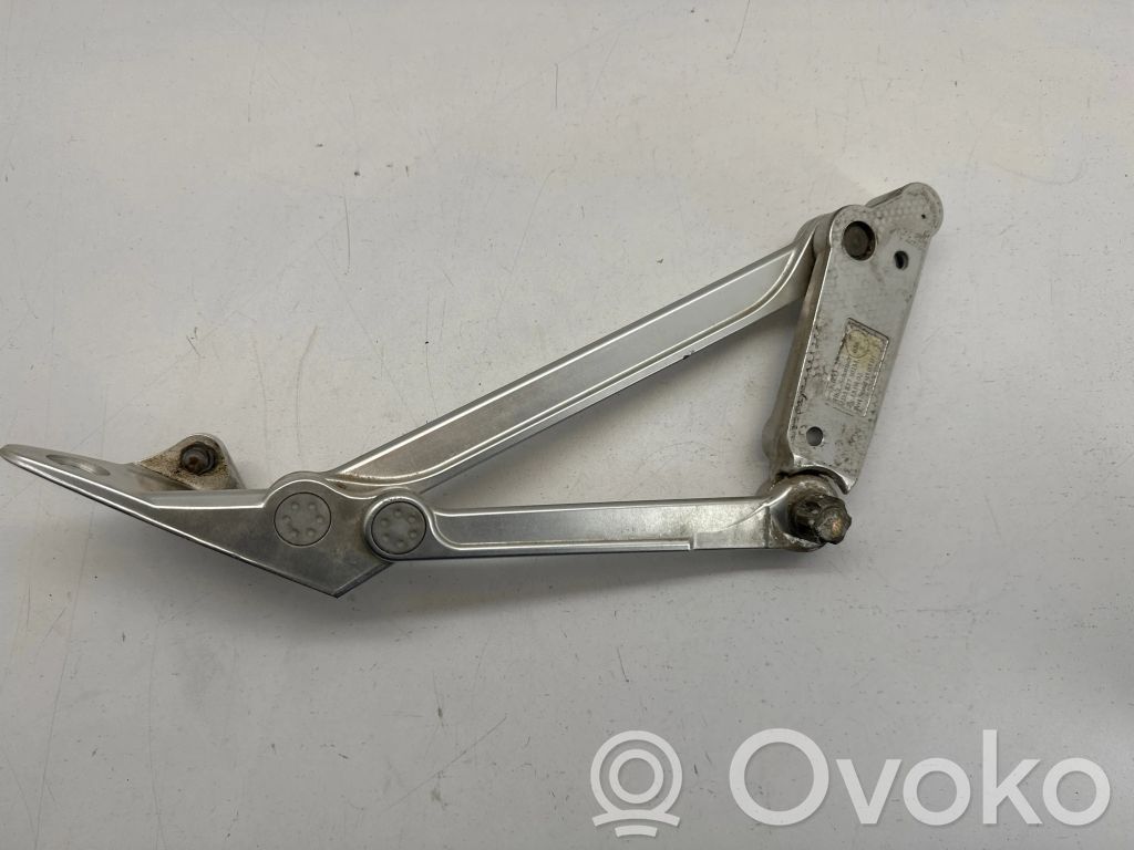 Volkswagen Phaeton Tailgate/trunk/boot hinge 
