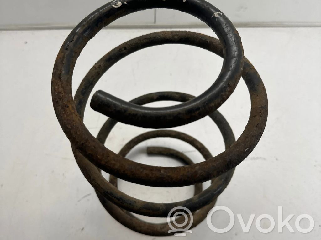 Front coil spring