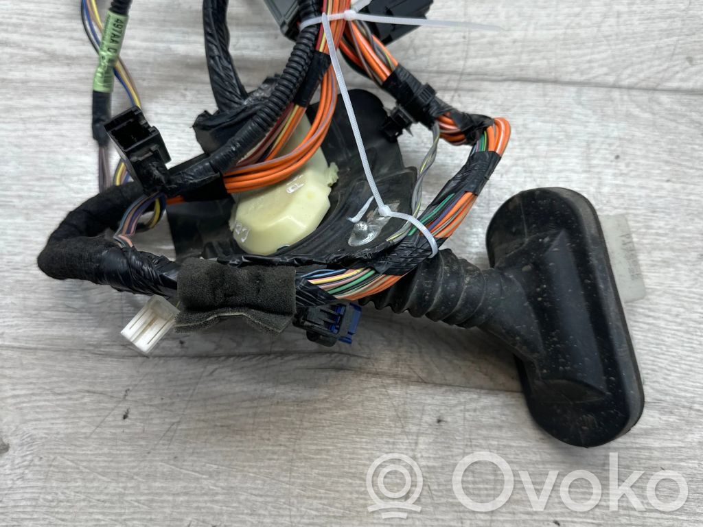 Jeep Compass Cableado de puerta delantera 