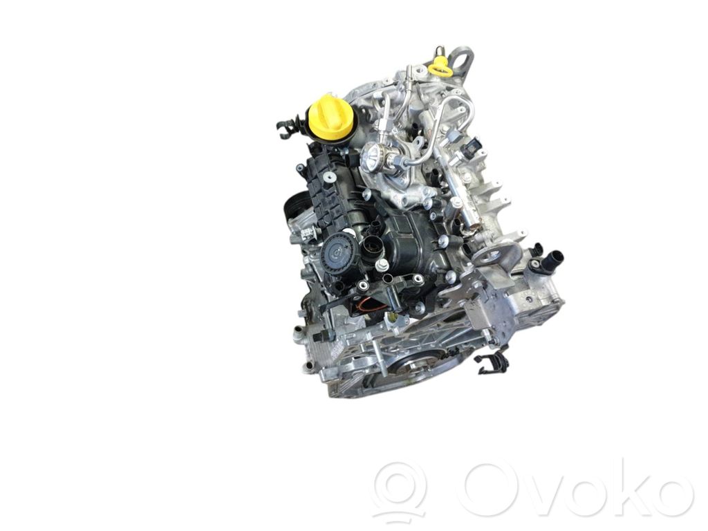 Engine   132659592R,100010555R,040923C1,175209417R