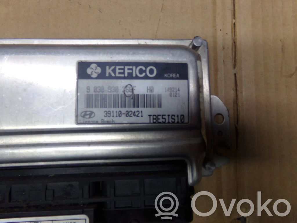 Hyundai Getz Engine control unit/module 