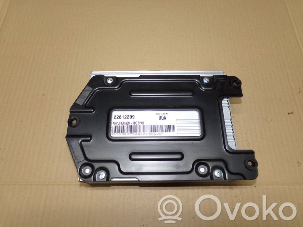 Opel Insignia A Amplificateur de son 