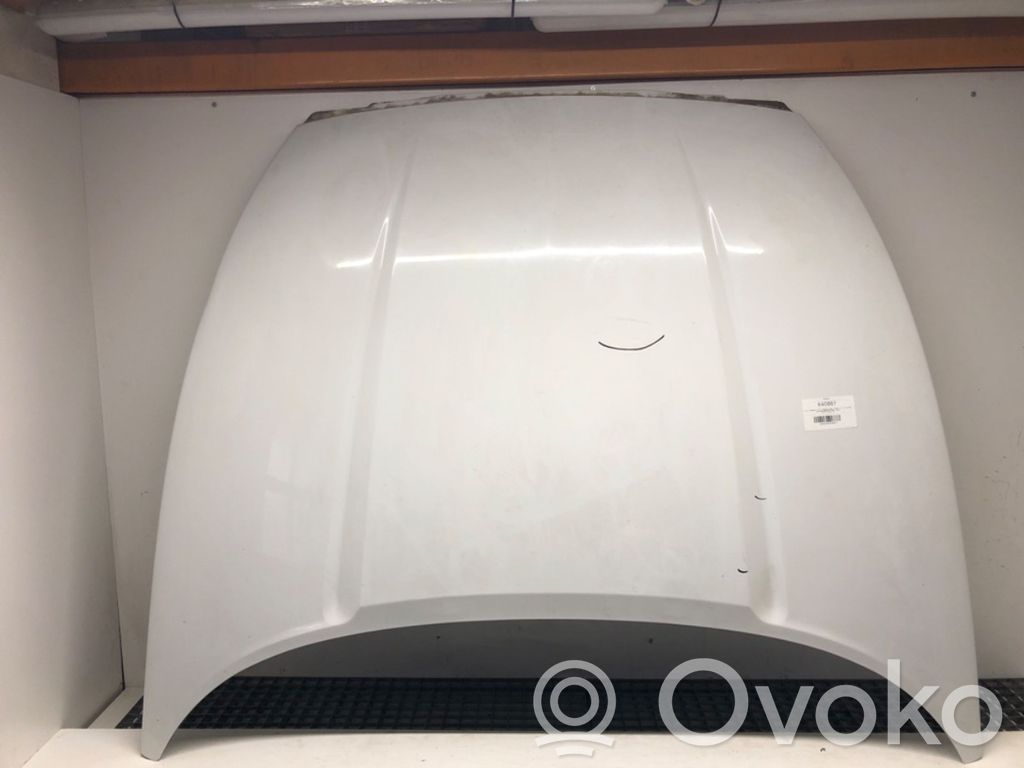 Engine bonnet/hood