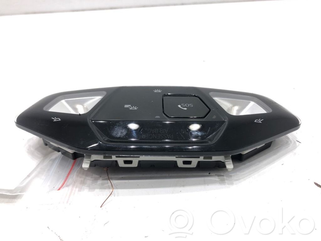 BMW X1 U11 Headlining lighting console trim 