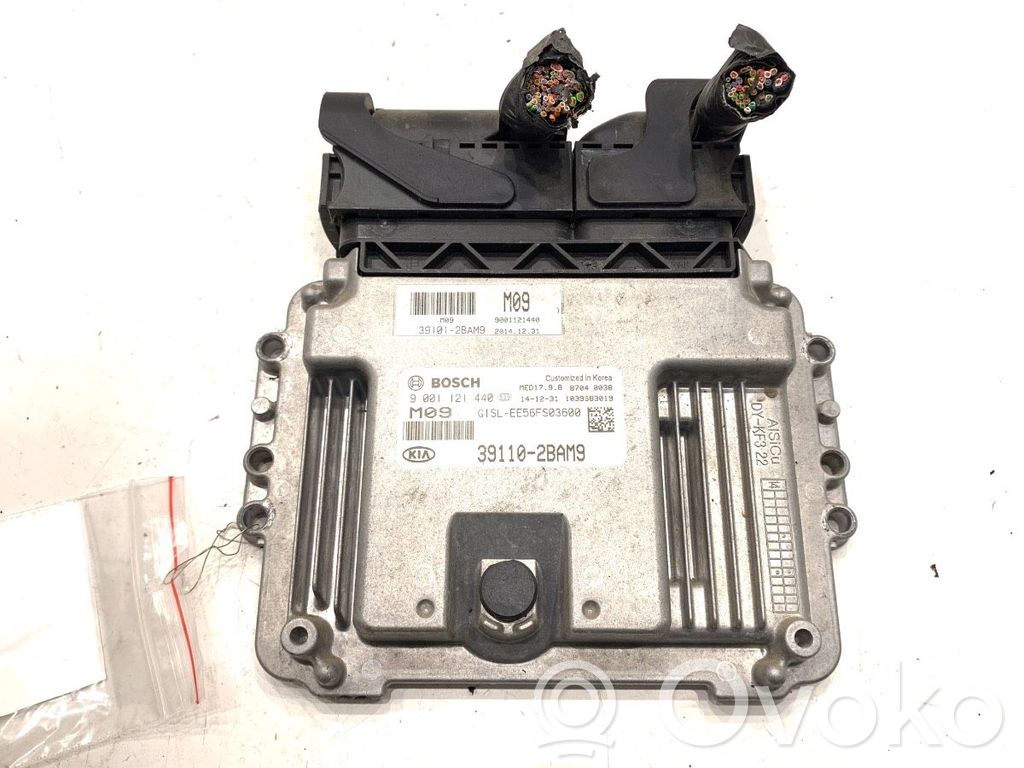KIA Sportage Engine control unit/module ECU 