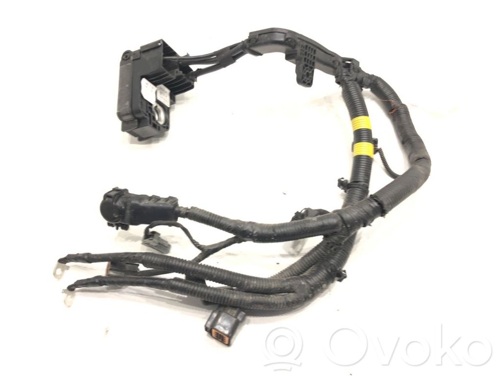 KIA Stonic Pluskaapeli (akku) 