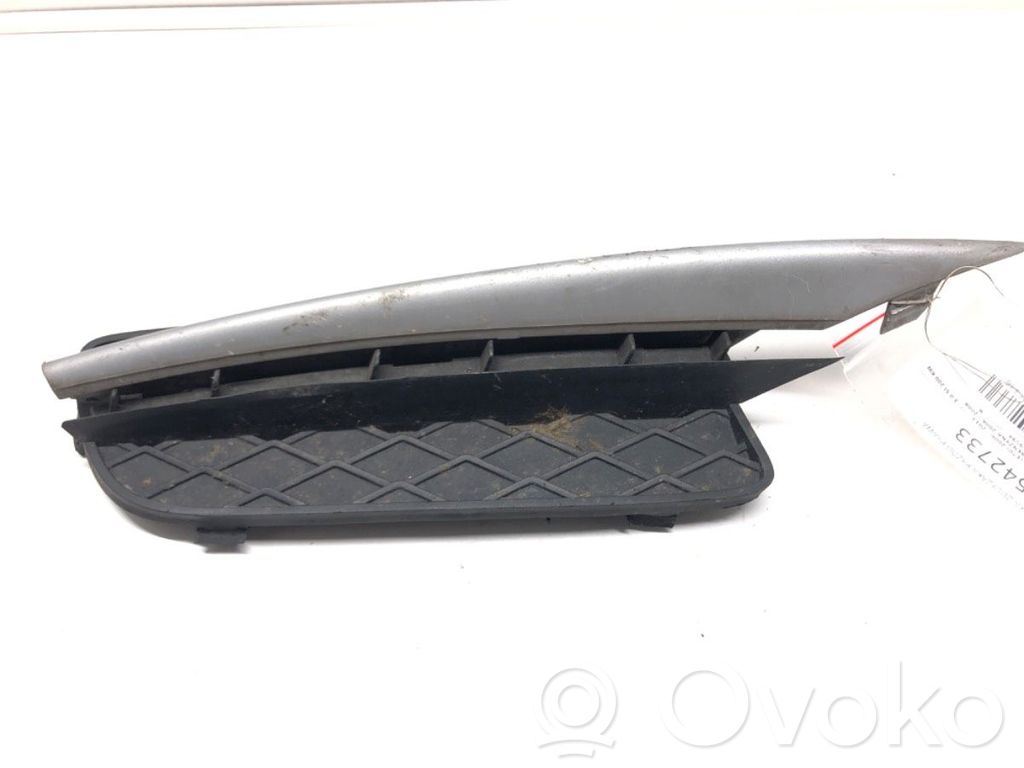 BMW X5 E70 Front bumper lower grill 
