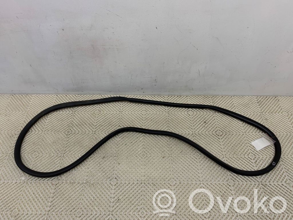 Opel Vivaro Junta de goma de la puerta delantera (puerta) 