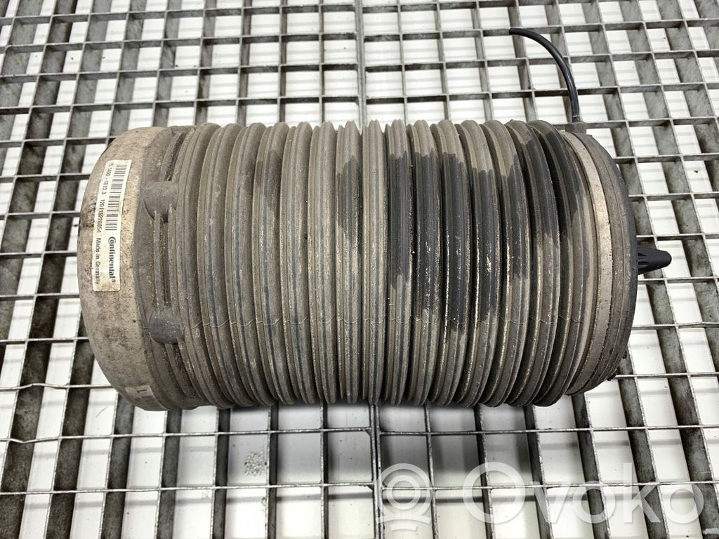 Audi A7 S7 4G Butelie suspensie pneumatică spate/amortizor 