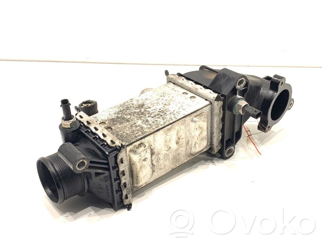 Skoda Fabia Mk3 (NJ) Intercooler radiator 