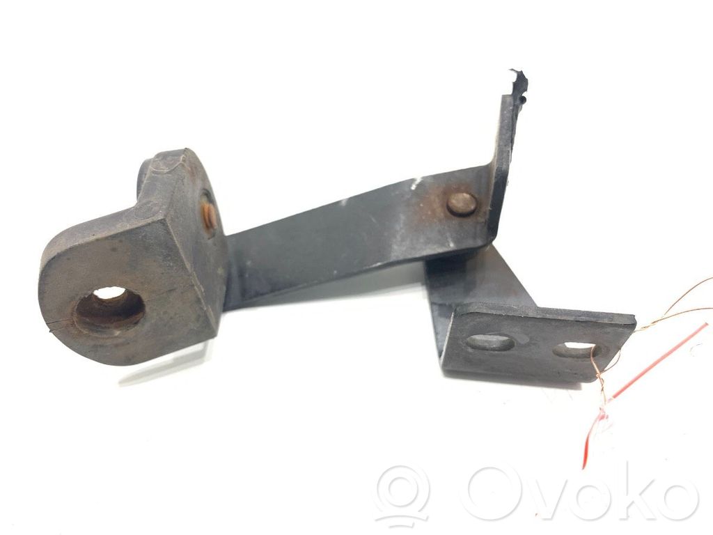 Tailgate/trunk/boot hinge