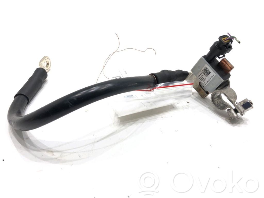 Audi A6 S6 C7 4G Cavo negativo messa a terra (batteria) 