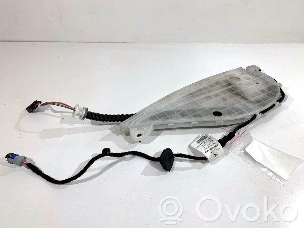Citroen Berlingo Cableado de puerta trasera 