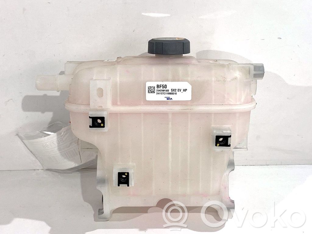 Hyundai Kona II Serbatoio di compensazione del liquido refrigerante/vaschetta