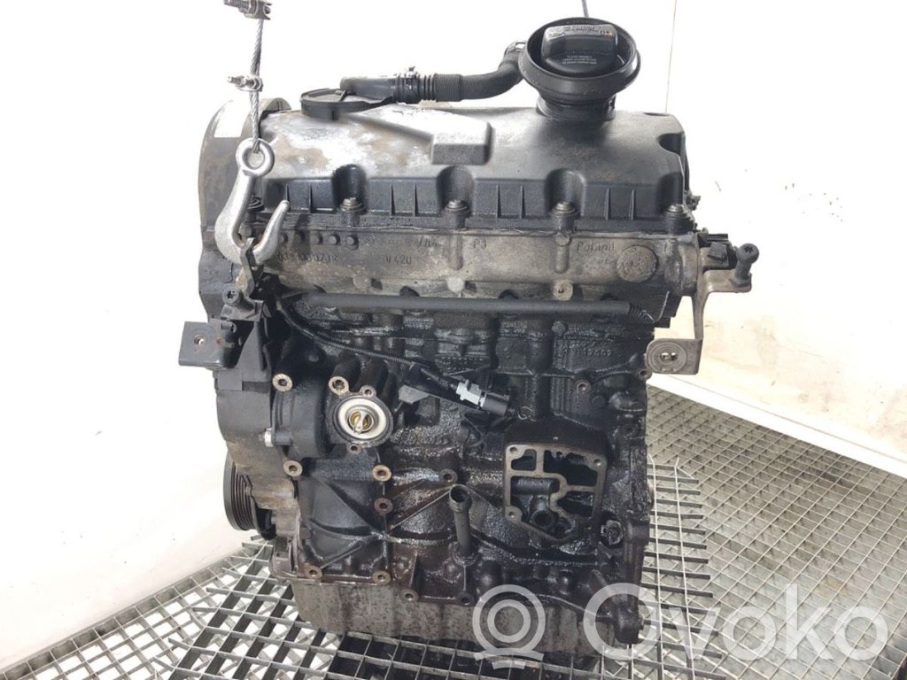 Volkswagen Golf V Motor 
