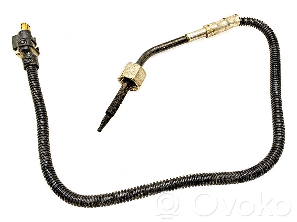Abgastemperatursensor