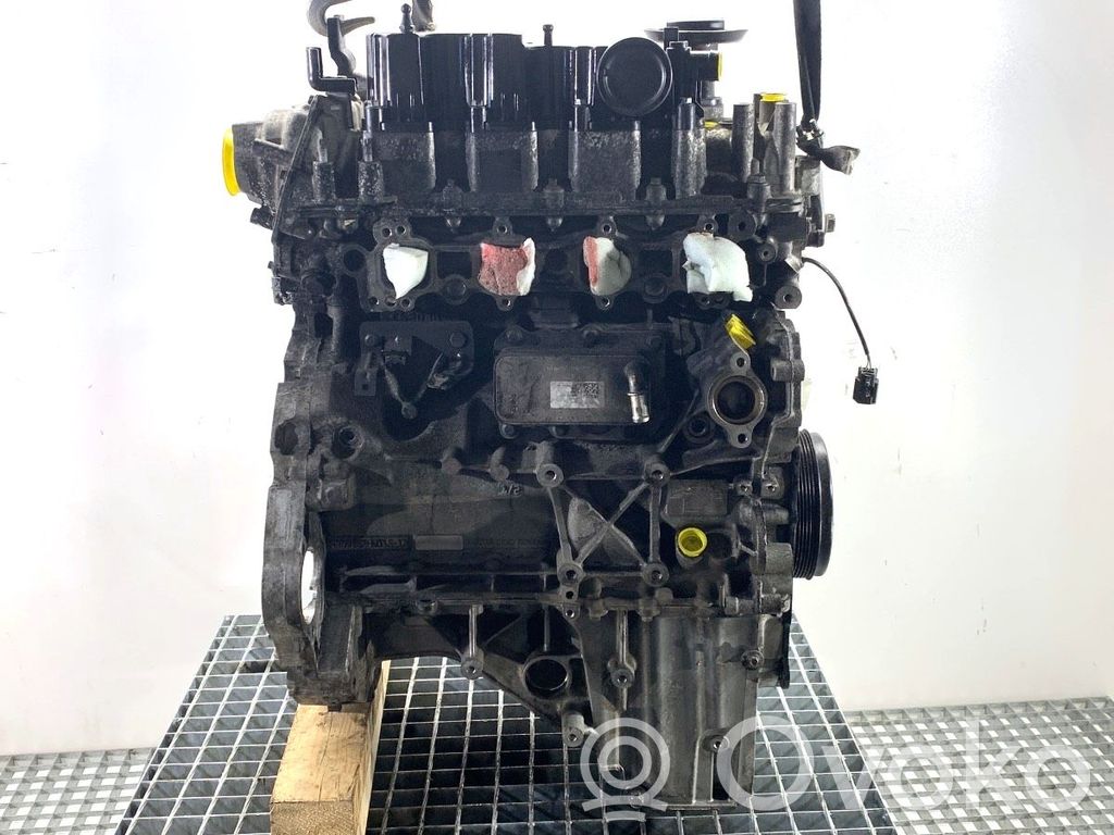 Motor   PBG4D3