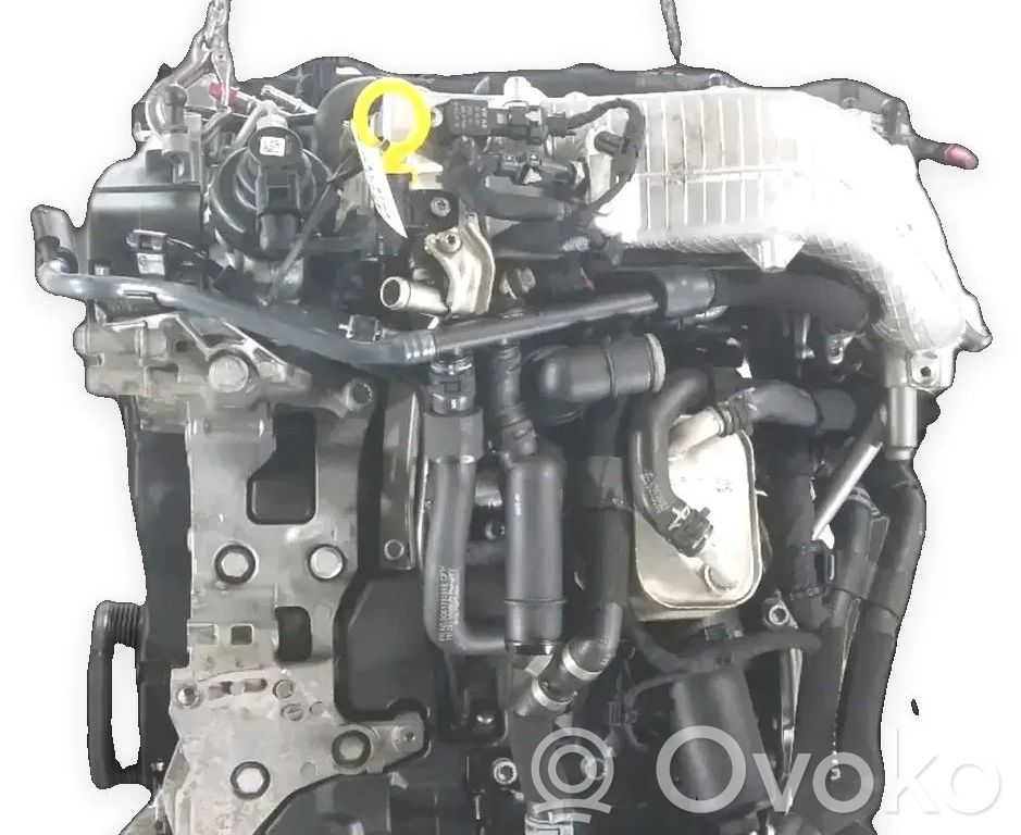 Variklis   DSR
