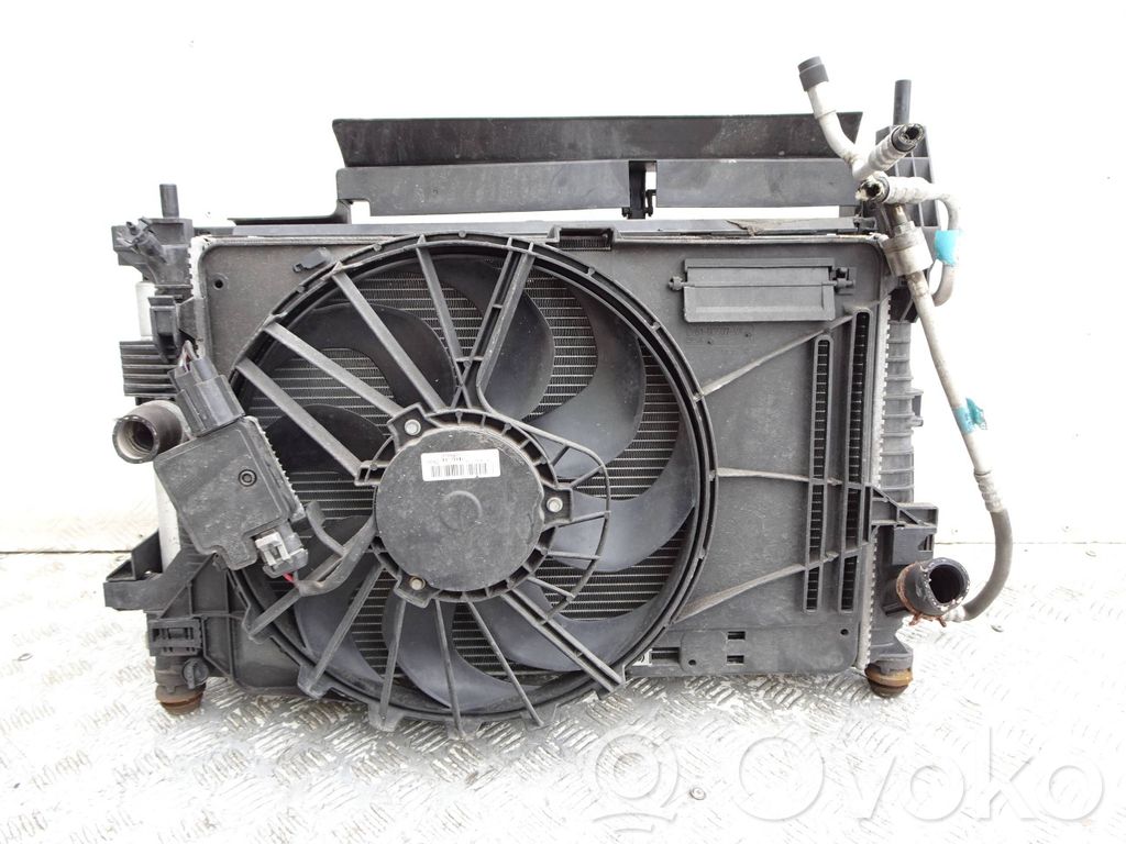 Set del radiatore   ASDF