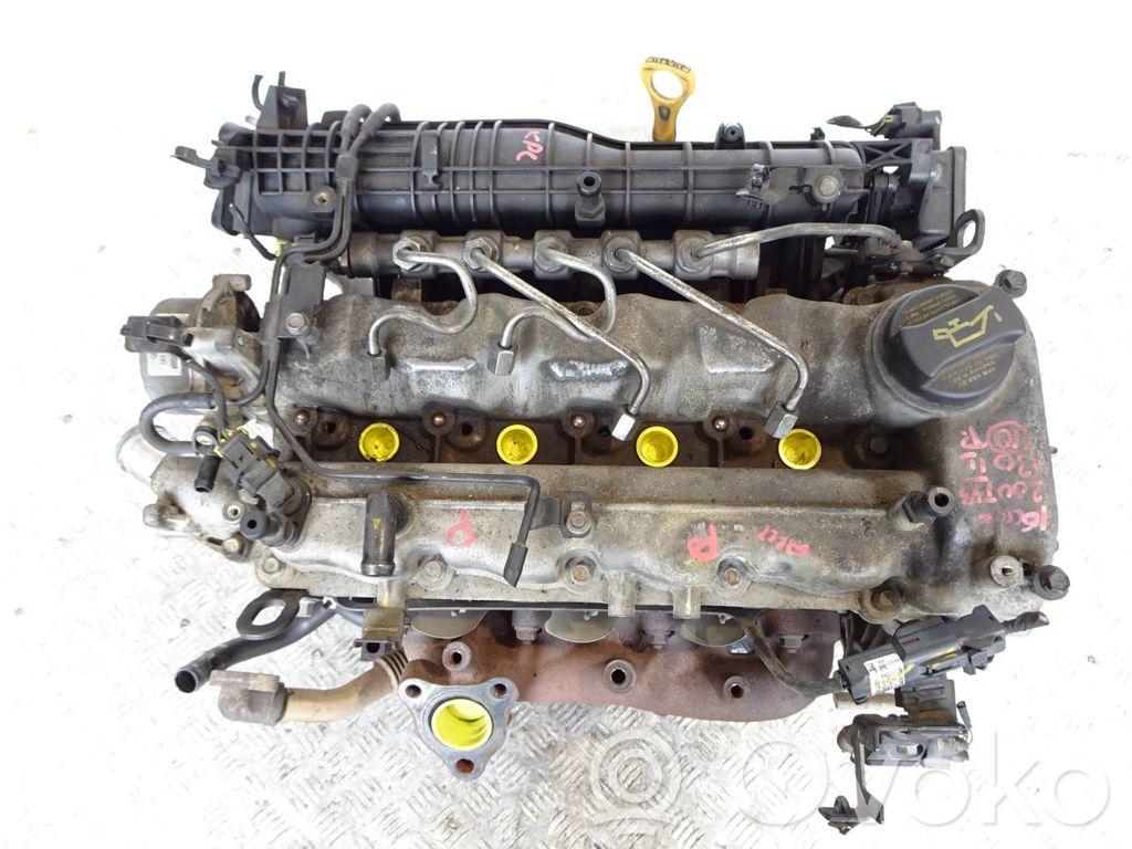 Variklis   D4FB