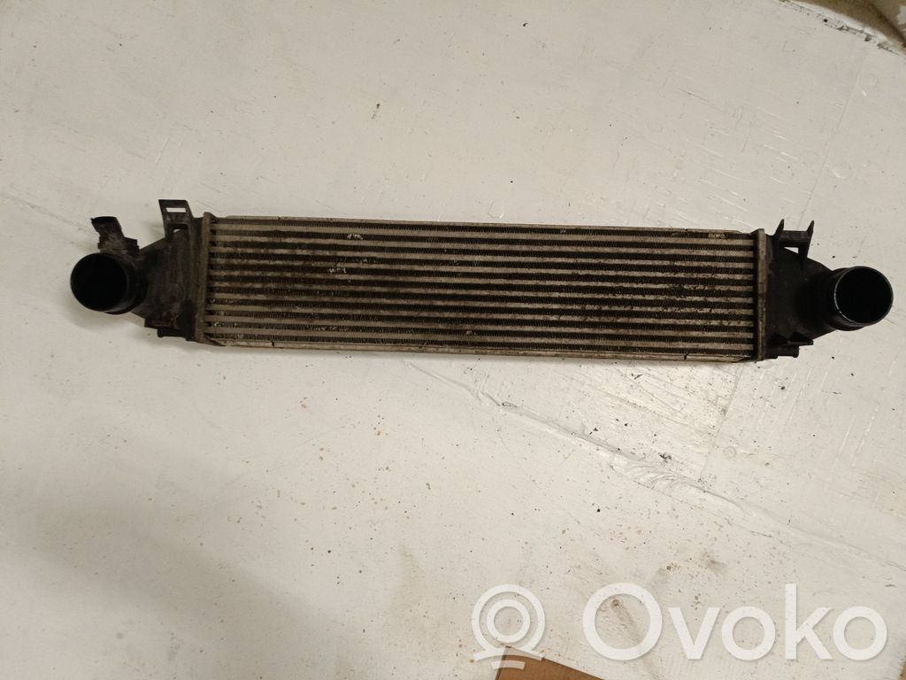 Radiador intercooler   0261230294,31303974