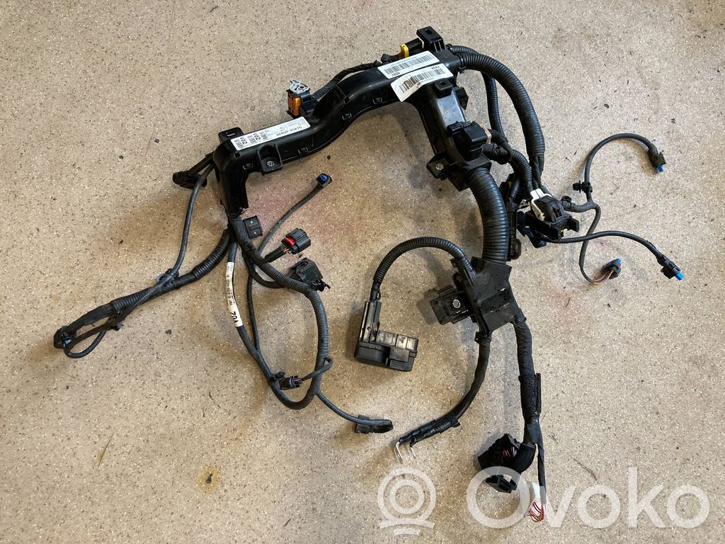 KIA Niro Cableado de instalación del motor 